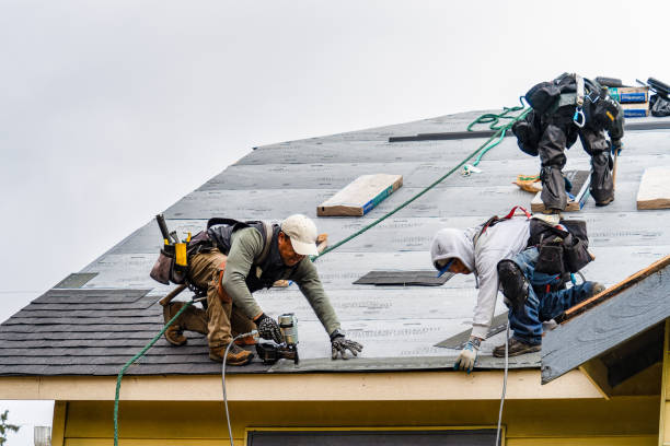 Professional Storm Damage Roof Repair technician working in Dysart, PA